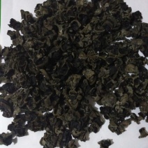 黑木耳一级