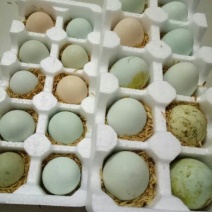 绿壳鸡蛋食用50~60g