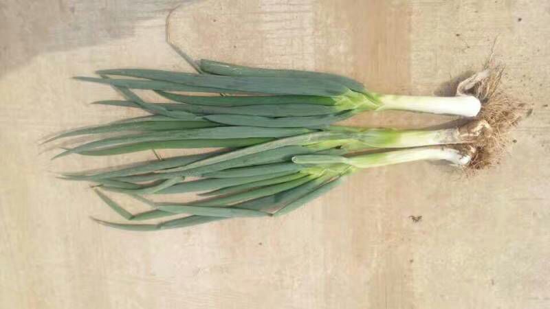 鸡腿大葱美食制作场景