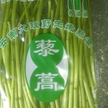 芦篙