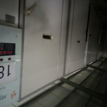 土鸡苗1斤以下