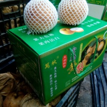 富硒梨450~500g纸箱
