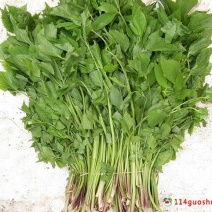 山野菜