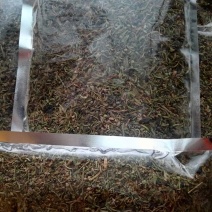 枸杞叶茶特级