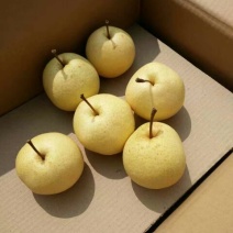 贡梨400~450g纸箱