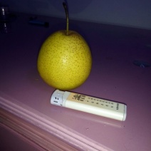 白梨250~300g纸箱