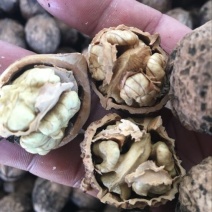 薄皮核桃去皮干