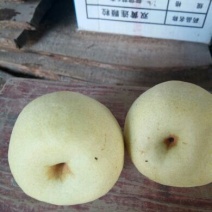 酥梨
