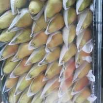 巴梨200~250g膜袋