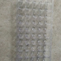 穴盘50孔