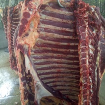 驴肉鲜货