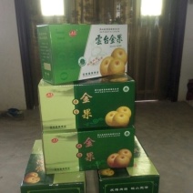 晚秋黄梨500~550g纸箱