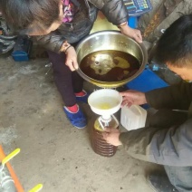 压榨菜籽油