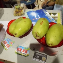 香木瓜1~1.5斤