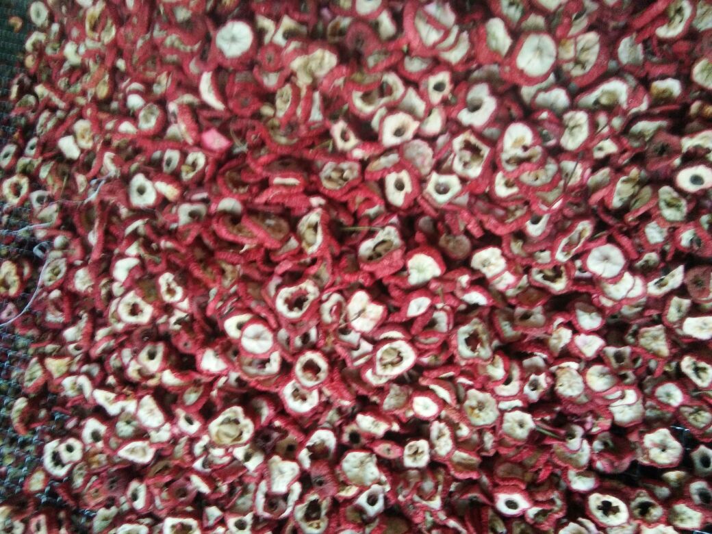 山楂与醋的食材展示图,清晰展示山楂果与醋瓶并列摆放的画面 山楂与醋食材展示图