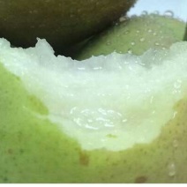 玉露香200~250g膜袋