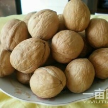 新疆核桃30mm以上去皮干