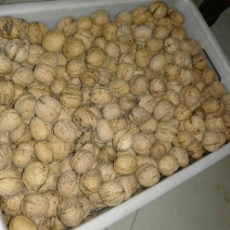 薄皮核桃去皮干
