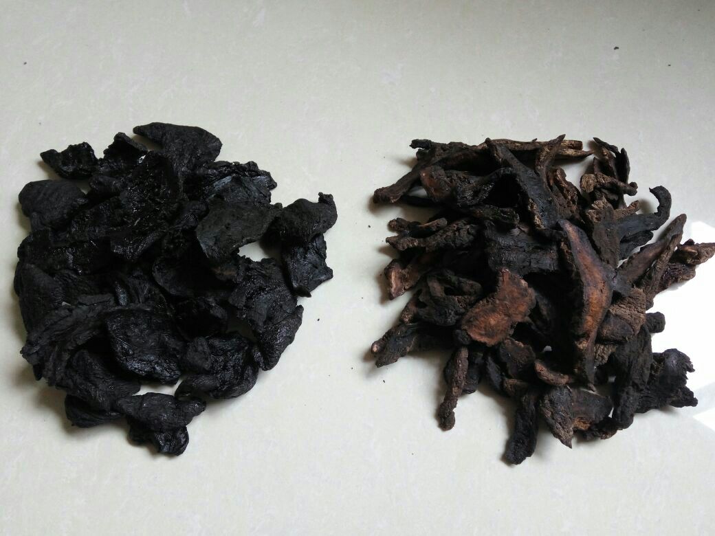 高清微距摄影:展示怀产熟地黄典型性状——表面皱缩呈不规则团块状,断面呈深棕褐色至乌黑色,具明显油润光泽与黏韧性,可见细密放射状纹理;旁置游标卡尺显示单块长约3.2cm,宽约1.8cm,体现道地药材‘油、润、黑、亮、糯’五字鉴别要点 熟地黄药材特写:棕黑色、油润光泽、断面乌黑透亮、质地柔韧不脆裂