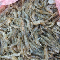 河虾冰鲜虾26~30只/kg