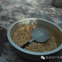 豆腐干豆腐