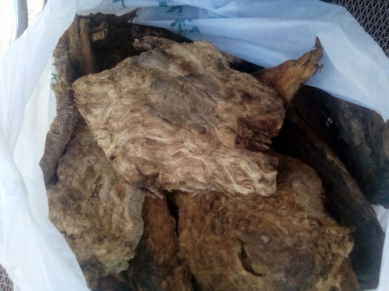 显微级摄影:干燥葛根花蕾呈卵圆形,直径2-3mm,顶端尖锐,花萼深紫红,表面密布0.1mm级白色绒毛,基部可见绿色花梗残端,整体干燥均匀无结块 干燥葛根花特写:紧实未开放的紫红色花蕾集群,表面覆薄层灰白绒毛,花萼包裹完整,无霉变碎屑
