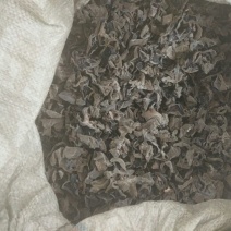 干木耳特级