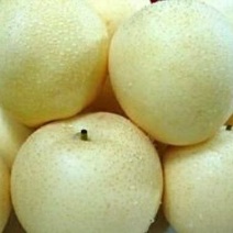 皇冠梨250~300g纸袋