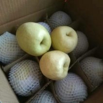贡梨纸袋