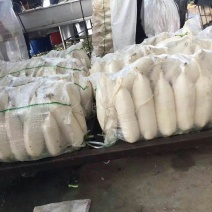 白萝卜1~1.5斤起