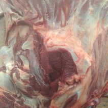 驴肉鲜货