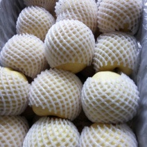 贡梨250~300g纸袋
