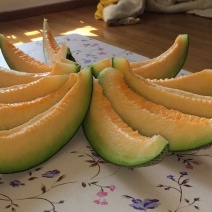 伽师瓜
