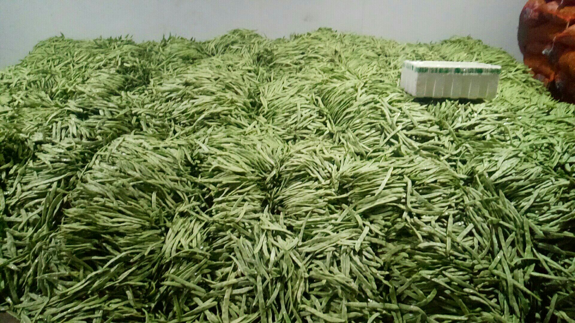展示红扁豆与绿扁豆在全球的主要产地分布,包括加拿大、印度、澳大利亚等 红扁豆与绿扁豆的全球主要产地分布图