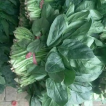 菠菜