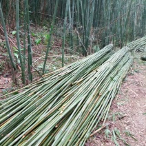 紫竹7~8m