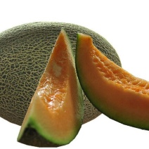 西州蜜瓜