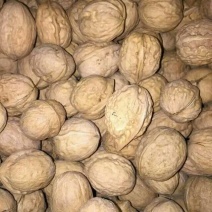 薄皮核桃25mm以下去皮干