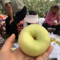 酥梨200~250g纸箱