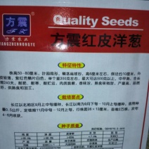 洋葱种子85%以上