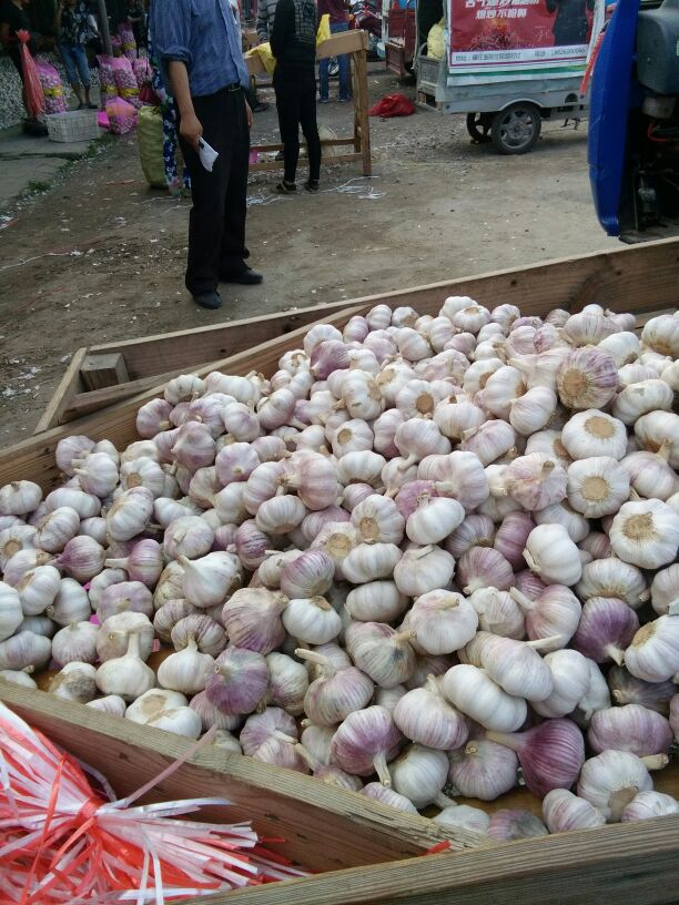 农副产品购销：架起城乡之间的桥梁