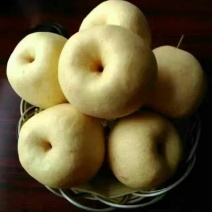 酥梨200~250g纸袋