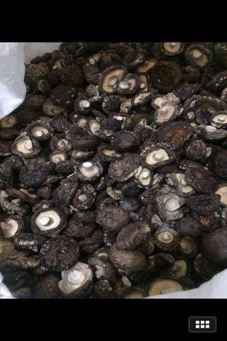 干香菇批发