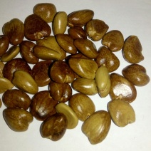 布福娜300~600g