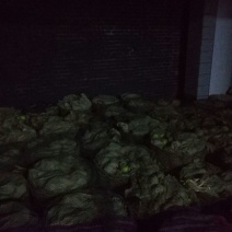 鸭梨100~150g膜袋