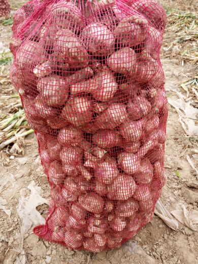 山东菏泽市巨野县