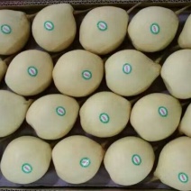 鸭梨500~550g纸箱