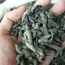 黑木耳特级