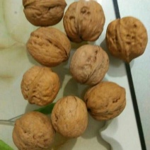 薄皮核桃30mm以上去皮干