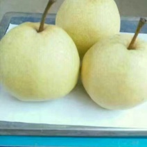 梨300~350g纸箱